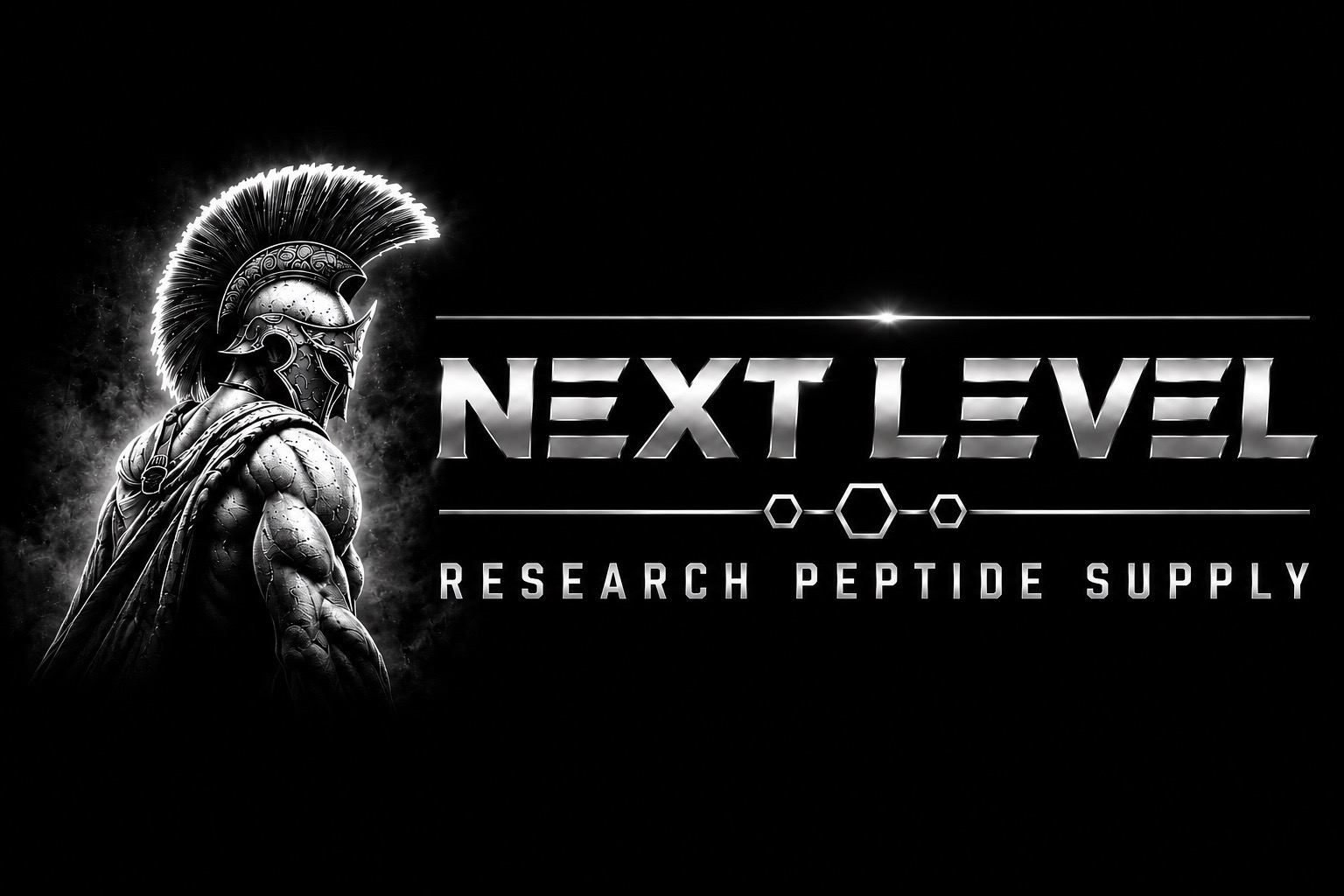 nextlevelresearchllc.com